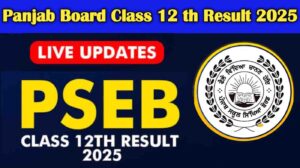 Punjab Board Class 12 Result 2025 Declared
